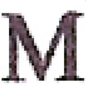 Fig.1. Zoom normal (nearest neighbor) 